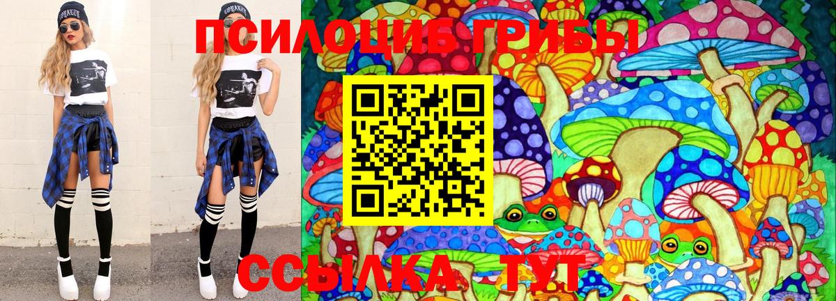 Галлюциногенные грибы прущие грибы Арсеньев